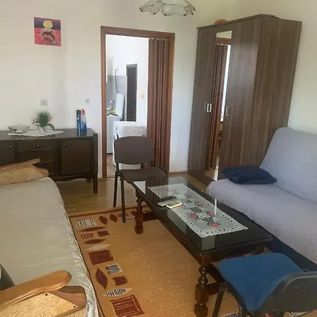 Apartment Nikola S House